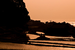 IMG_5135-1.jpg